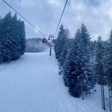 Апартаменты Baumann Вильдшёнау